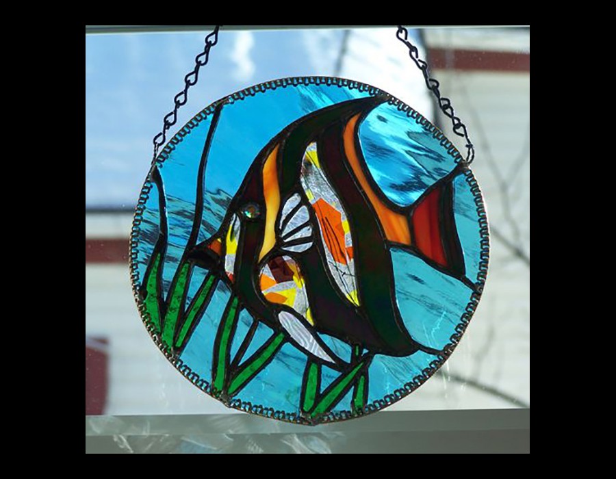 angelfish_blk_bg