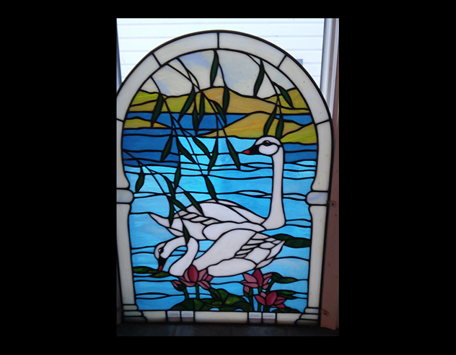 swans